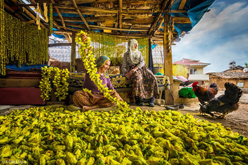 عکس‌های منتخب مسابقه عکاسی غذا