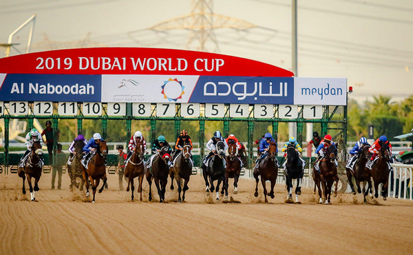 تصاویر دیدنی از جام جهانی اسب‌دوانی ۲۰۱۹ در دبی