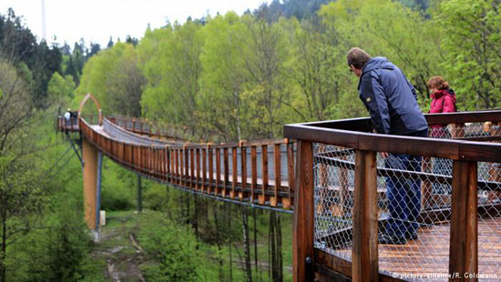 مسیرهای جنگلی برای پیاده روی در آلمان