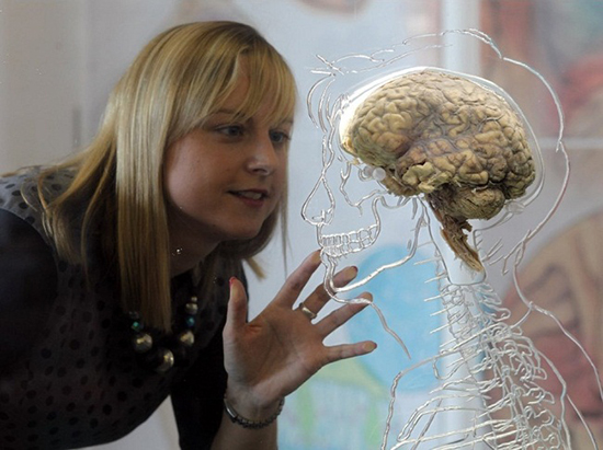 باور‌های رایج، اما غلط درباره مغز انسان!