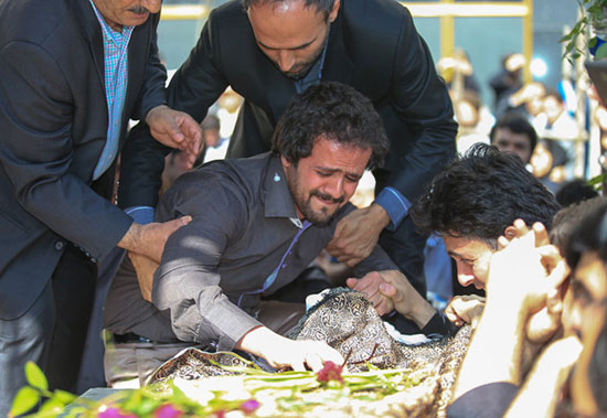 عکس: مراسم تشییع استاد محمدرضا لطفی