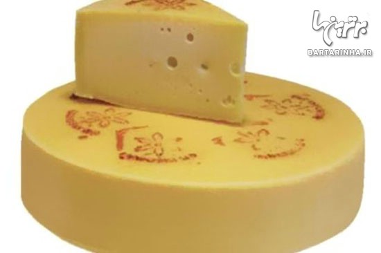 گران ترین پنیر جهان از شیر خر! /عکس