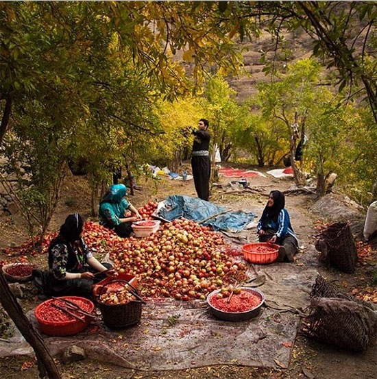 اینجا ایران است (2)