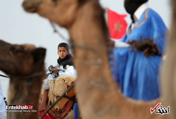 جشنواره قبایل بیابان نشین مراکش