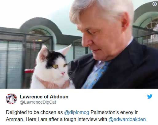 یک گربه به عنوان کارمند جدید سفارت بریتانیا