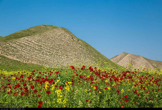 طبیعت بهاری استان گلستان