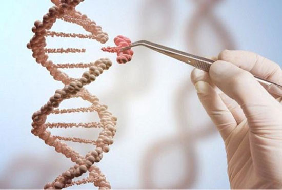 کشف مقر فرماندهی سرطان با کمک اصلاح ژنتیک