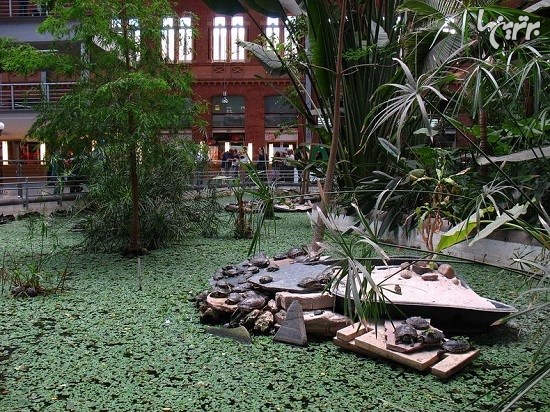 باغ گیاه شناسی داخل ایستگاه قطار مادرید