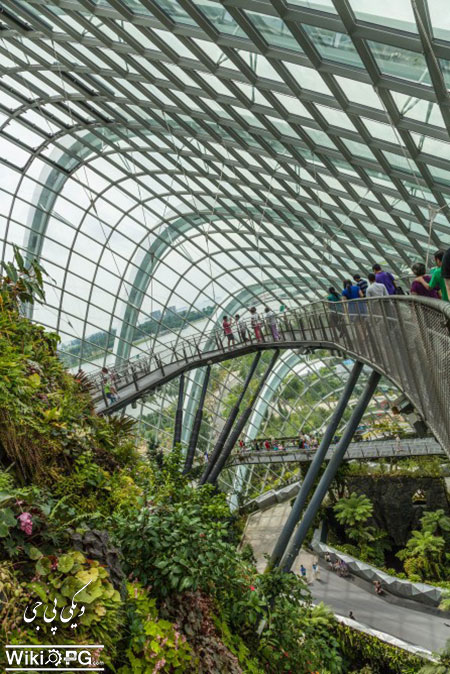 یک باغ خارق العاده در سنگاپور +عکس