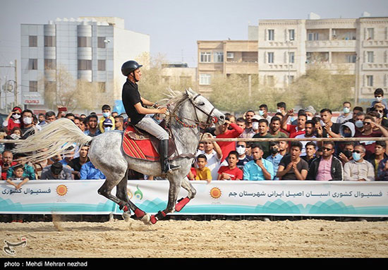 فستیوال کشوری اسبان اصیل ایرانی