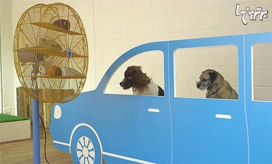 اولین نمایشگاه هنری جهان برای سگ ها