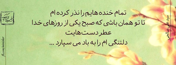 مینی شعر (107)