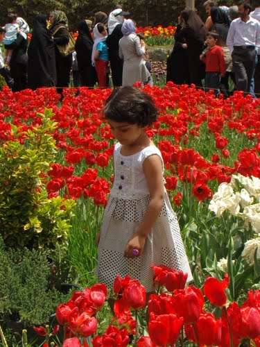 جشن لاله های ایران