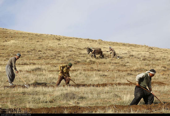 اجرای پروژه‌های بیولوژیک مرتع استان کردستان