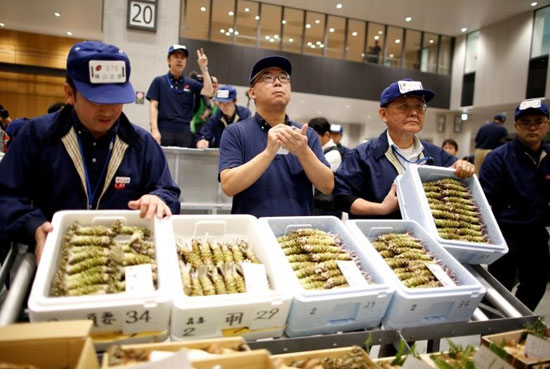 آغاز به‌کار بزرگترین بازار ماهی جهان در توکیو