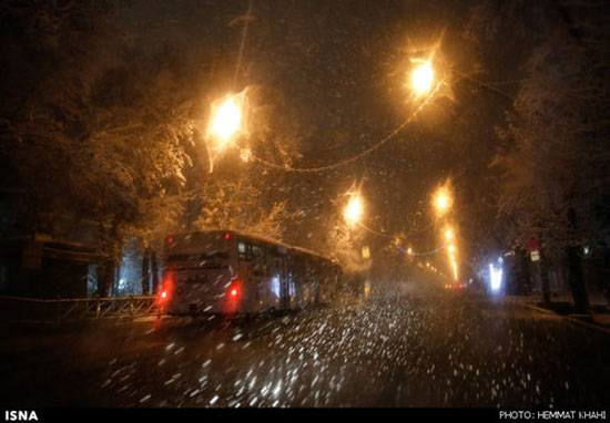 عکس: بارش برف در تهران