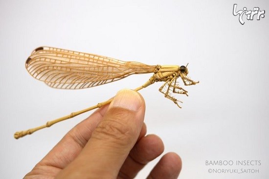 حشرات فوق العاده ظریف و باورنکردنی از جنس بامبو