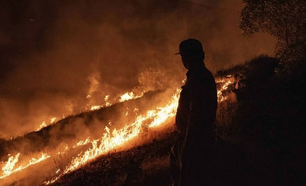 تصاویری از آتش‌سوزی در جنگل‌های پاوه