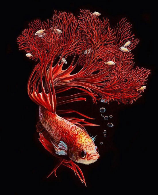 نقاشی های بی نظیر و واقعیت گونه ی یک هنرمند از ماهی ها