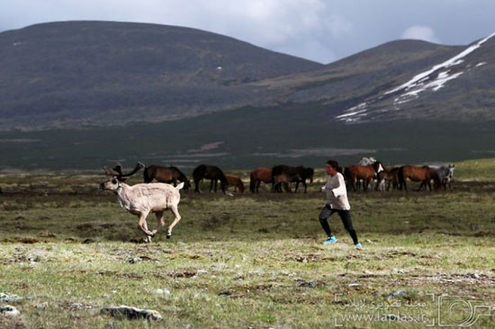 عکس: ملاقات با عشایر ساتان در مغولستان