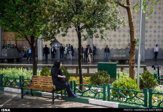 تصاویری از بارش باران بهاری در تهران