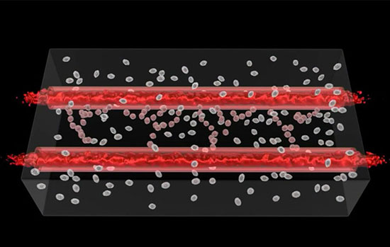 تولید رگ‌های خونی توسط پرینت سه بعدی