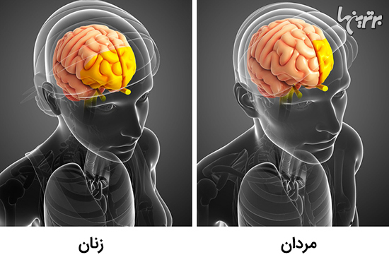 واقعیات جالبی که دوست دارید با دیگران به اشتراک بگذارید