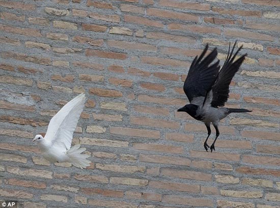 پرندگان آزادی «پاپ» شکار شدند! +عکس