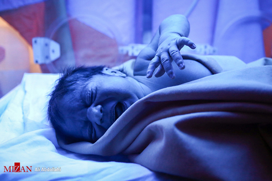 سرنوشت نوزاد یک روزه در پدیده مشهد