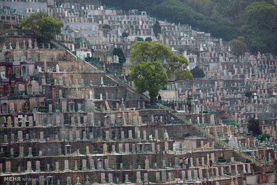 عکس: کمبود گورستان در هنگ کنگ