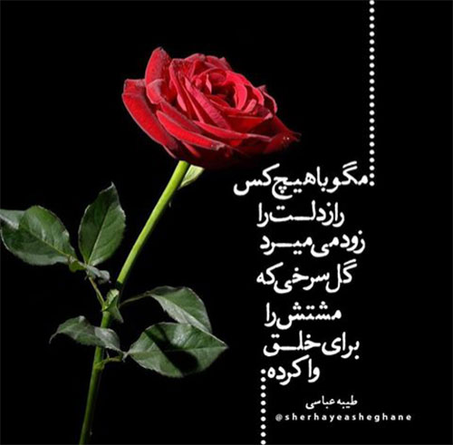 مینی شعر (169)