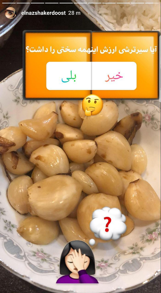 انگیزه الناز شاکردوست از سفر به شمال