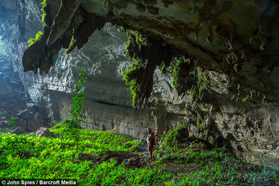 کایاک سواری در اعماق و بازدید از جنگل زیرزمینی