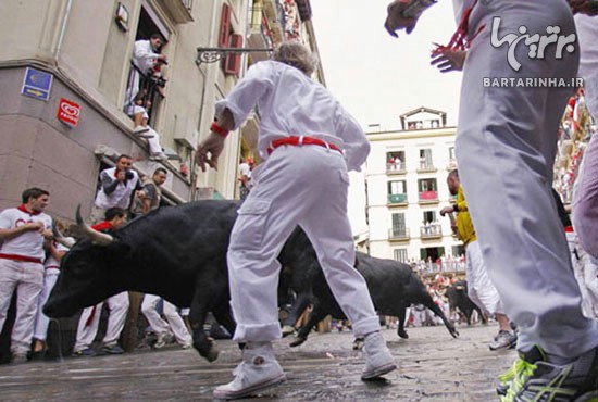مراسم خطرناک گاوبازی در اسپانیا +عکس