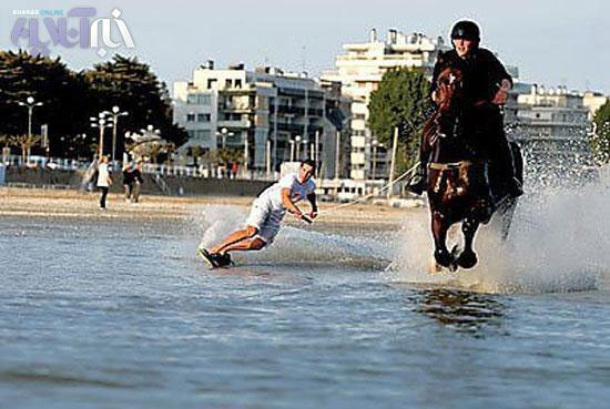 تصاویر: موج سواری با اسب!