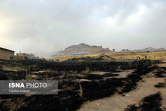 عکس: مراتع در سنندج‎ در آتش سوخت
