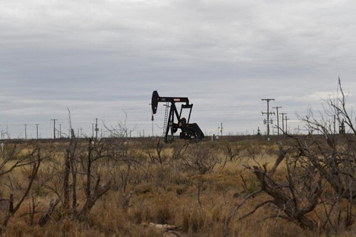 سقوط قیمت نفت درپی اعلام احیای تولید عربستان