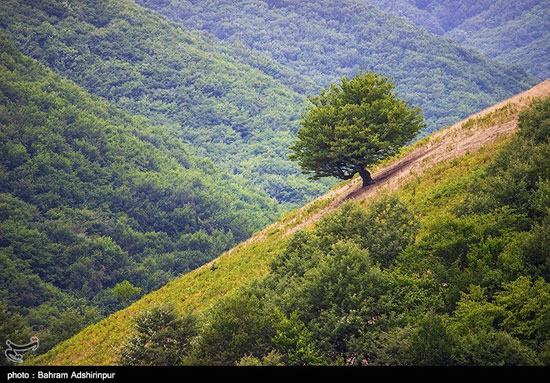 طبیعت «مِشه سویی» در دامنه کوه اسپیناس