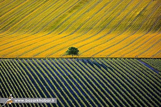 گزارش تصویری هوایی از زیباترین مناطق جهان