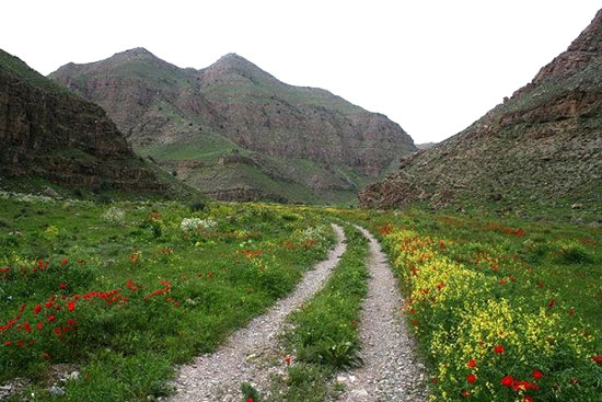 پارک ملی تندوره در مرز ترکمنستان