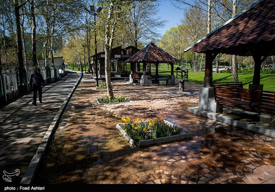 عکس: طبیعت بهاری پارک ملت تهران