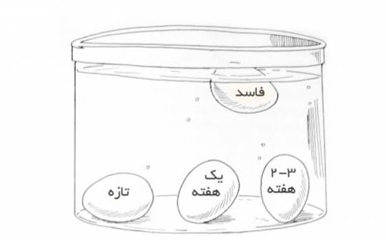 ترفندهای آشپزی که هر بانوی ایرانی باید بداند