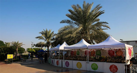 بازارهای محلی دبی؛ خریدی متفاوت در شهری لوکس