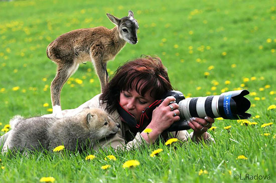 تصاویری ار همراهی حیوانات با عکاسان